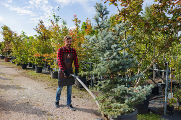 Seasonal Cleanup in Walton Hills, OH